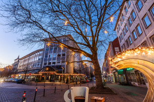 Der Blick auf eine Platane in der Küterstraße mit winterlichen Sternen